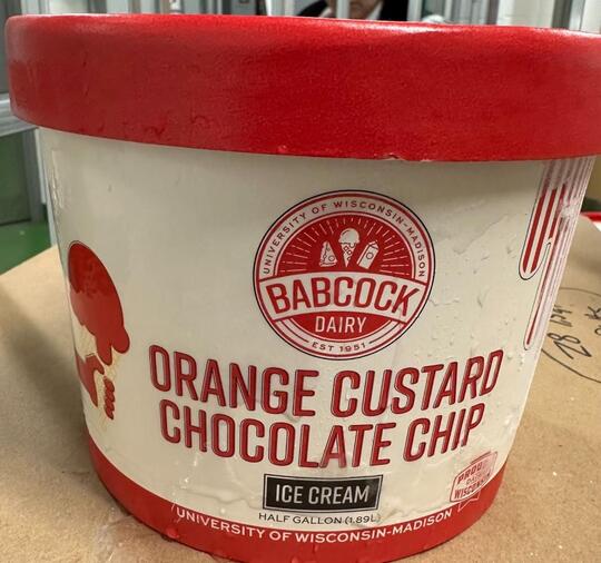 Orange Custard Chocolate Chip ice cream