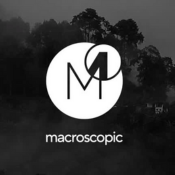 Macroscopic